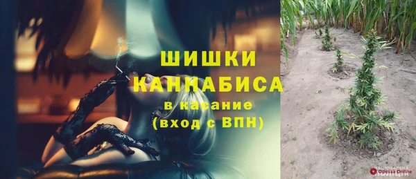 spice Алзамай