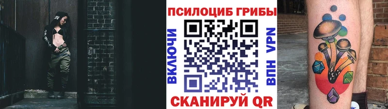 цены наркотик  Щигры  Галлюциногенные грибы прущие грибы 